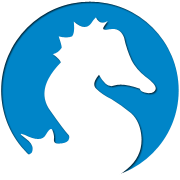 ddos压力测试网页端